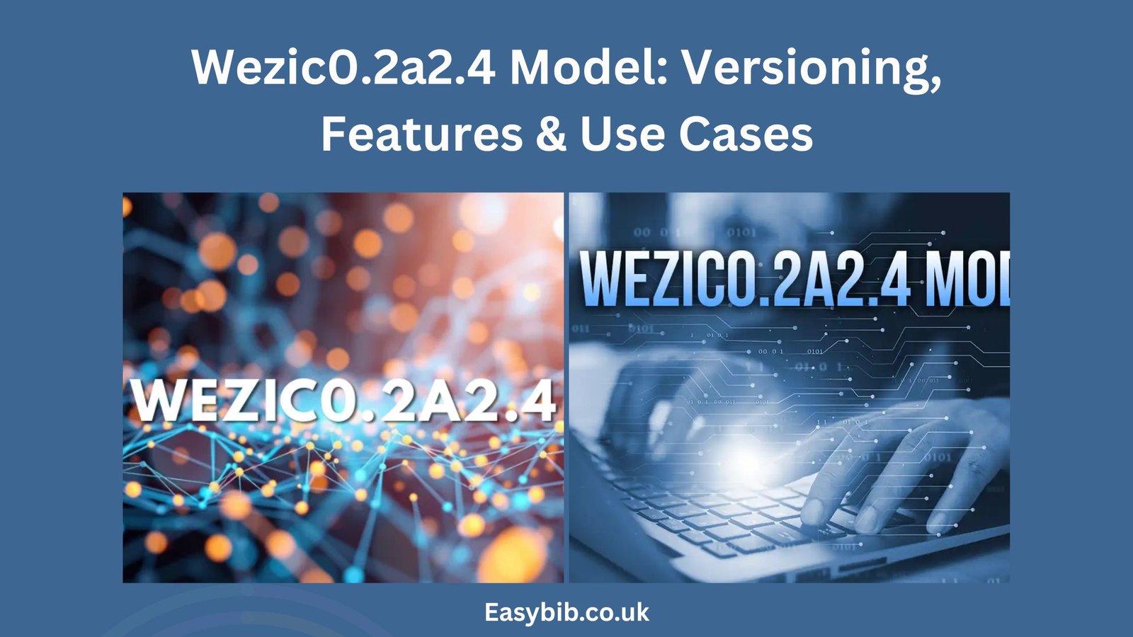 Wezic0.2a2.4 model