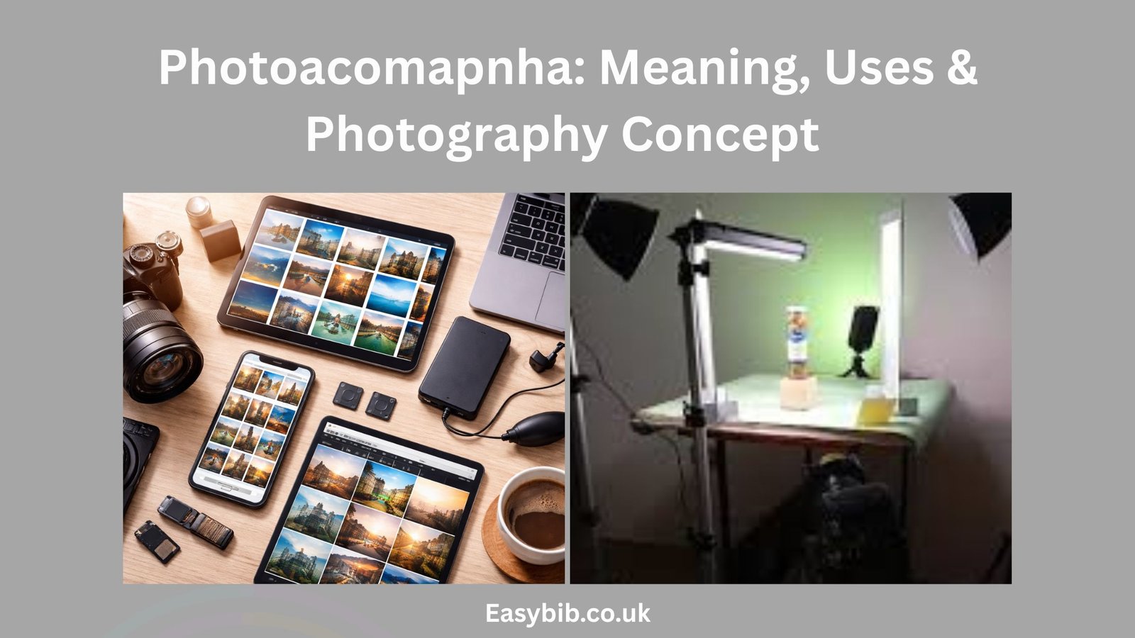 Photoacomapnha: Meaning, Uses \u0026 Photography Concept