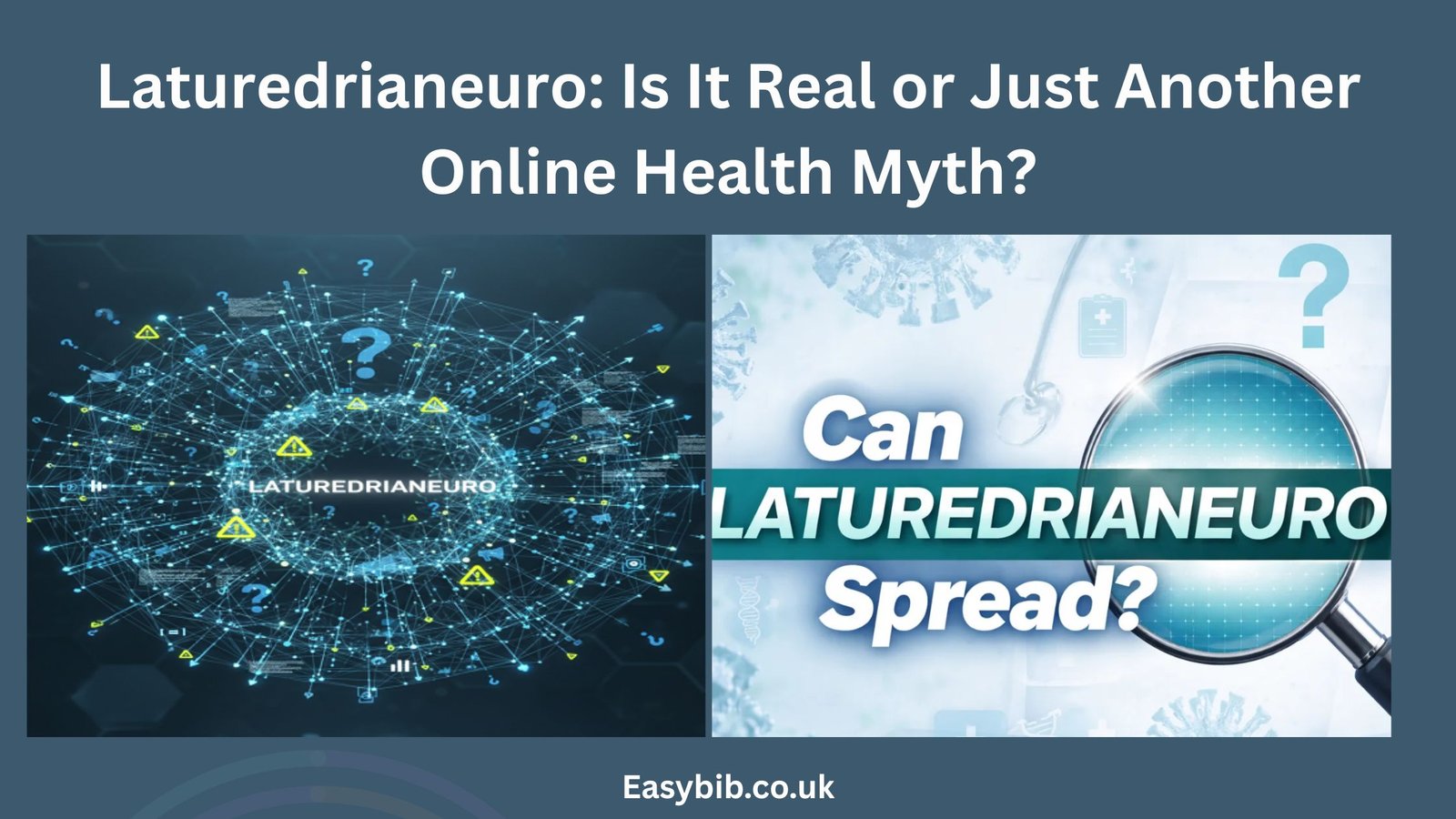 Laturedrianeuro